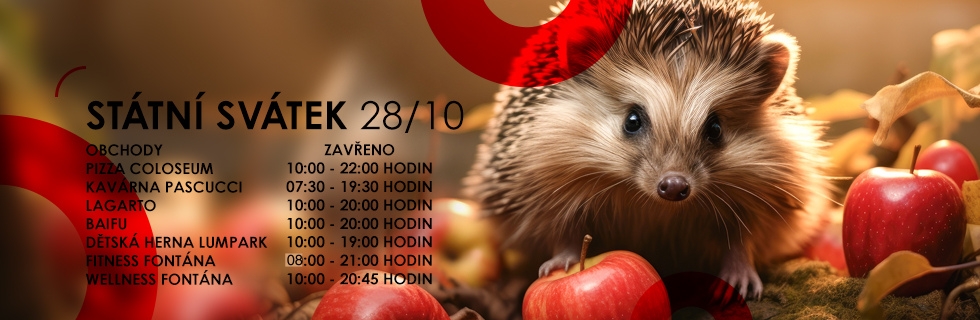 28 10