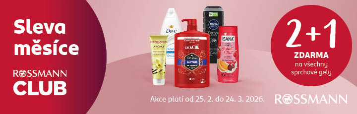 rossmann do 24 3 